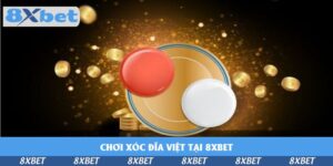 choi-xoc-dia-viet-tai-8xbet